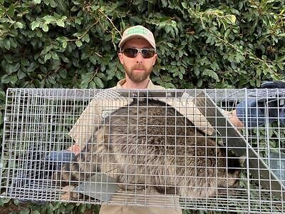 Fort Lauderdale pest control